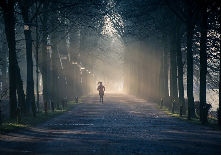 A person jogging along a foggy tree-lined pathway in a park during sunrise.