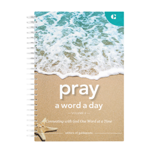 Pray a Word a Day Volume 2