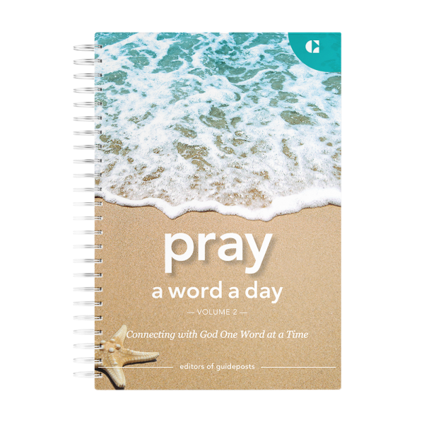 Pray a Word a Day Volume 2