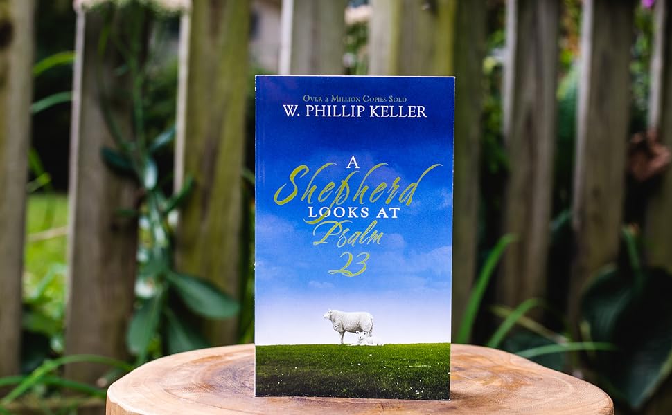 shepherd looks at psalm 23 ~ Susie Crsoby